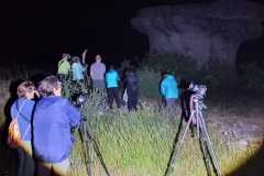 via-lactea3