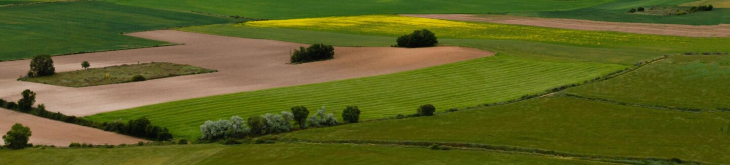 Campos Cerrato palentino